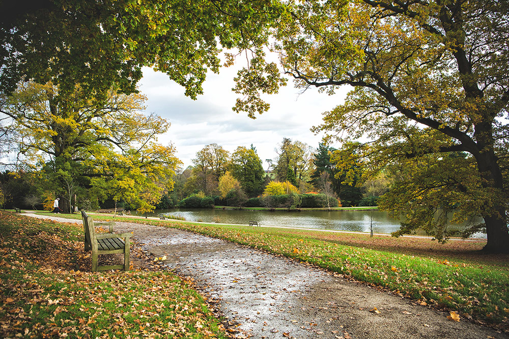 Tunbridge Wells Gardener