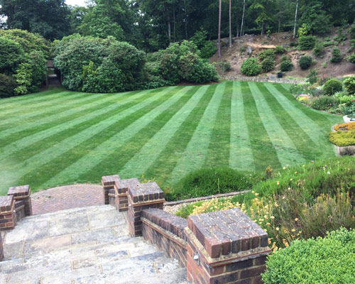 Large striped lawn with landscaped borders and mature planting