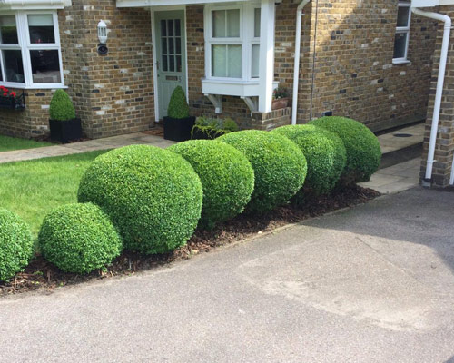 Garden Services in Sevenoaks